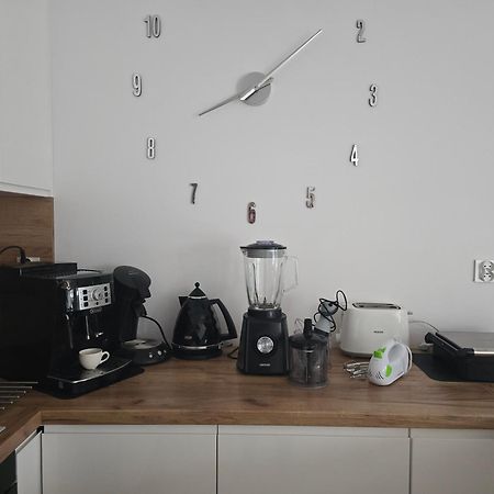 Apartament Przy Kopalni Srebra Tarnowskie Góry Exterior foto